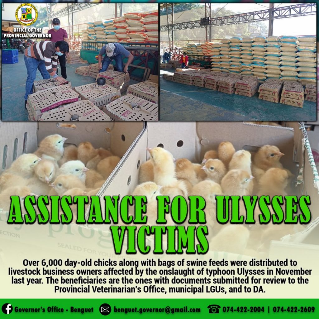 Assistance for Ulysses Victims