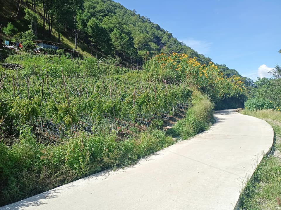 IMPROVED 1.5 KM FMR TO BENEFIT FARMERS IN BOKOD 4
