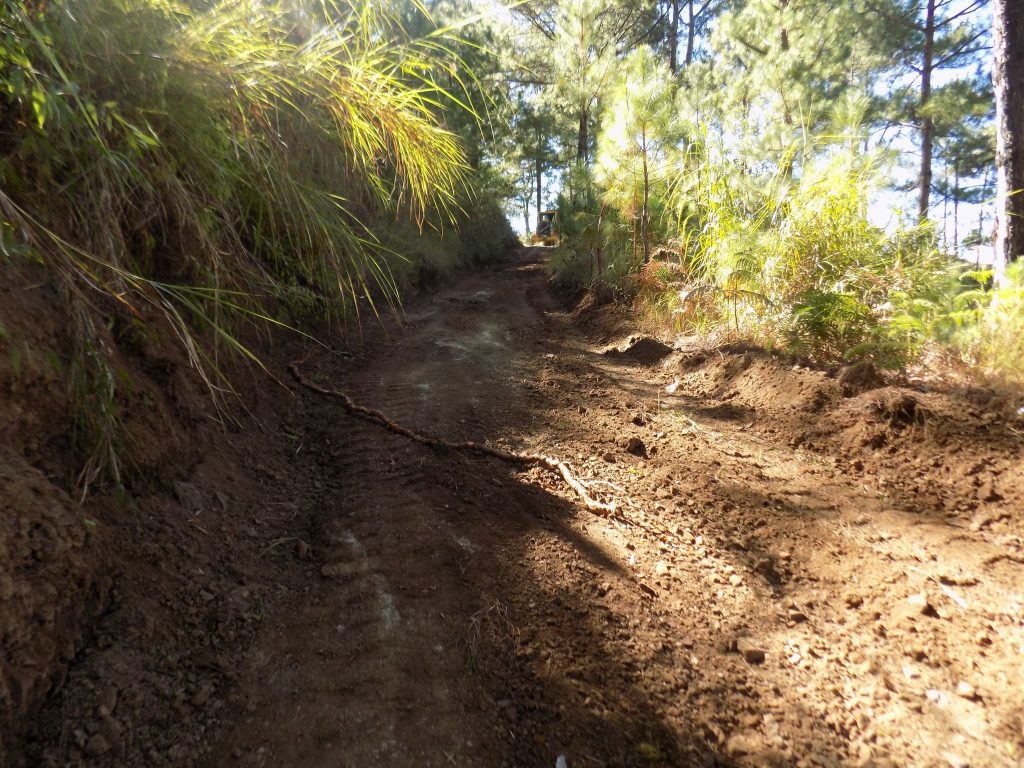 Road Clearing of Several FMR in Bokod, Benguet 3