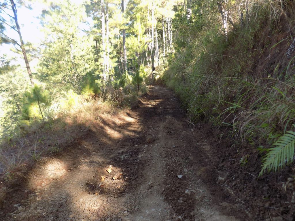 Road Clearing of Several FMR in Bokod, Benguet 4
