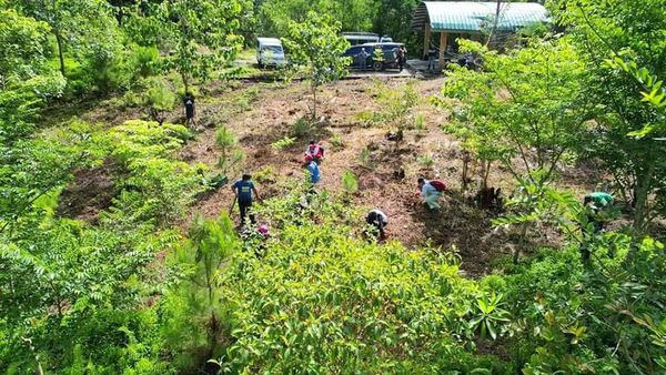 July 22, 2022 - CAPITOL EMPLOYEES PLANT OVER A THOUSAND TREES