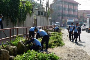 Clean and Green Environment Against Dengue