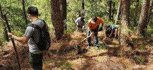 Tree Planting Activity in Allitang Communal Forest in Sagpat, Kibungan Benguet