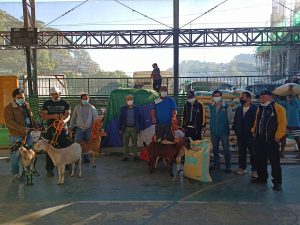 Assistance to Livestock Farmers