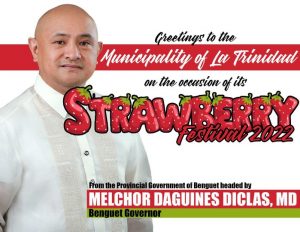 Happy Strawberry Festival