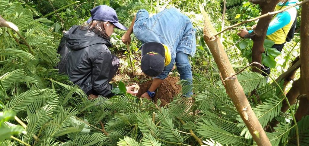 Provincial SPES Beneficiaries Plant Seedlings in Celebration of Environment Month 2