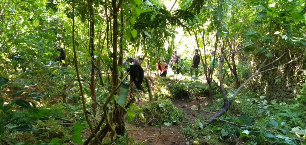 Provincial SPES Beneficiaries Plant Seedlings in Celebration of Environment Month 3